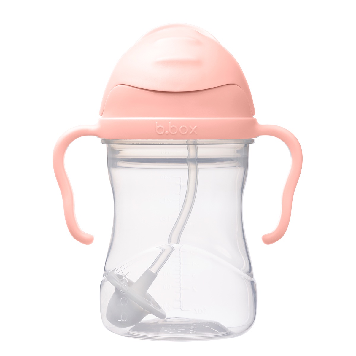 Sippy Cup - Tutti Frutti