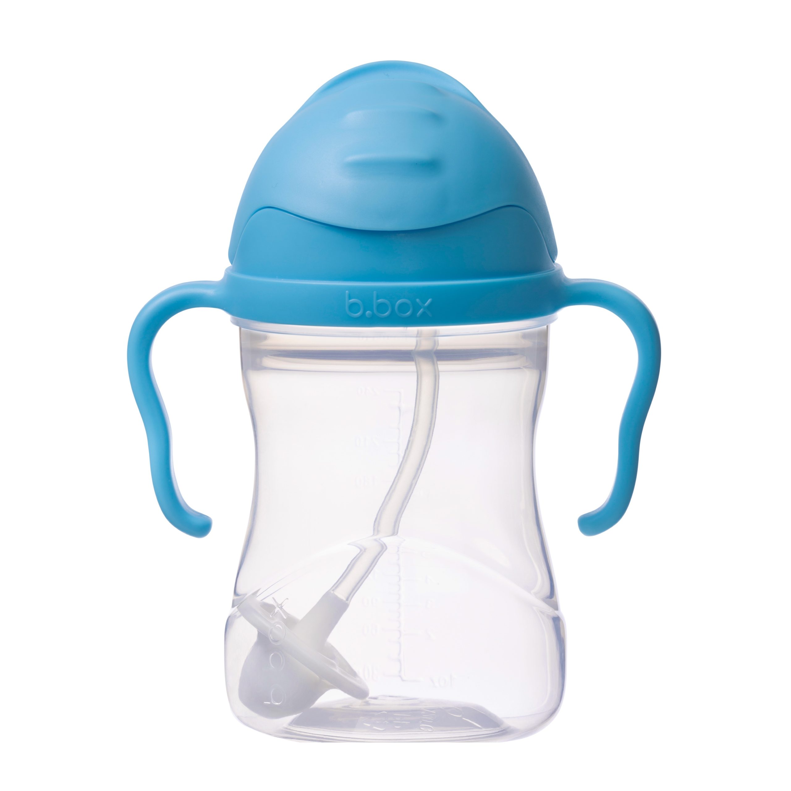 Sippy Cup - Blueberry